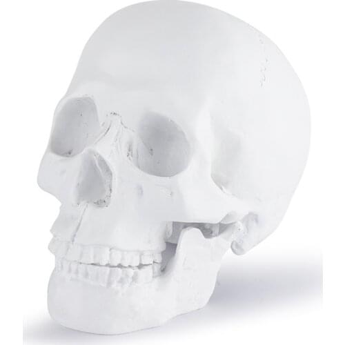 DIY Skull Model Plain Resin Skull Decor Statue Home Decoration Sculpture Desktop Decorative Ornaments Creative Crafts Gift