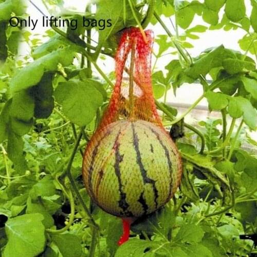100pcs Fruit Plastic Mesh Bag Watermelon Melon Grow Protection Hanging Net Hot Greenhouse Vegetable Drawstring Nylon Handle Bags
