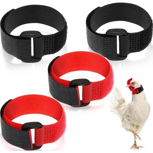 Rooster Noise-Free Anti-Hook Neckband Collar 2pcs Rooster Neck Collar Supplies Nylon Collar Rooster Supplies