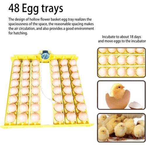 48 Eggs Incubator Automatically Turn Tray Poultry Incubator Accessories Automatic Incubator Egg Tray