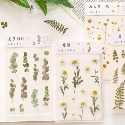 Flat Spring To Flower Series Decoration Sticker PET Creative Stationary School Supplies DIY Scrapbooking Decorative Stickers
