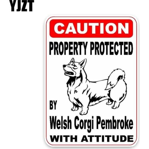 YJZT 10*14.2CM Property Protected By Welsh Corgi Pembroke dog Car Bumper Window Decoration Car Sticker C1-4526