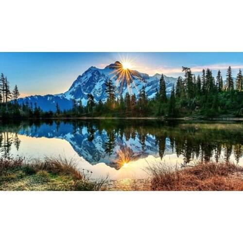 C08130 11CT/14CT/18CT/25CT/28CT Oil tea patterns Counted Cross Stitch DIY Cross Stitch Kits Embroidery Needlework Sets