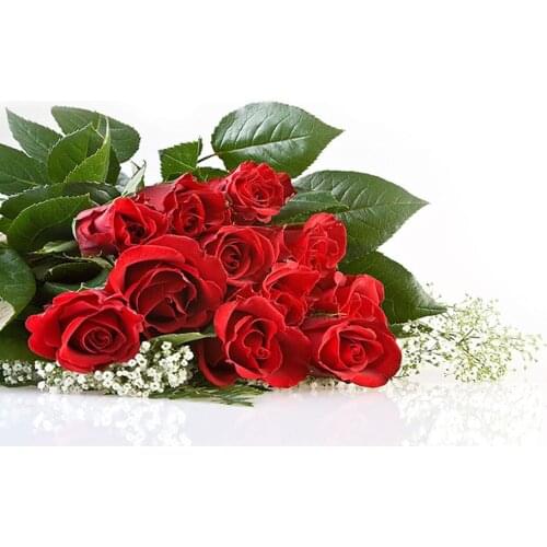 Photo Backgrounds Red Flowers Computer Printed Backdrops Studio Photography Props for Lovers Valentines Day Wedding Photocall