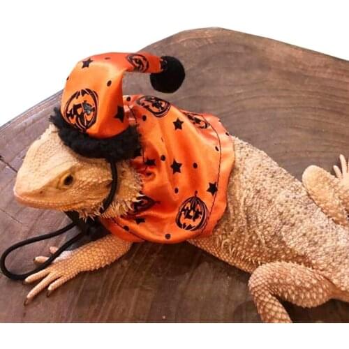 Adjustable Bearded Dragon Costume 2Pcs Lizard Hat with Cloak for Reptiles Small Pet Animals Holiday Dress Up Accessories