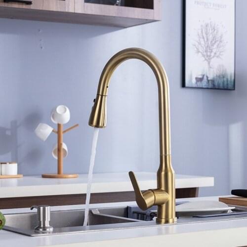 Golden Trek Keukenkraan Pull Down Spray Keuken Mengkraan Enkel Handvat Mengkraan Swivel 360 Graden Keuken Mixer tap