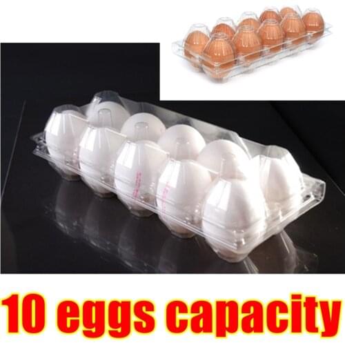 Disposable 10 Holes Eggs Container Plastic Clear Egg Packing Storage Boxes Organizer Racks And Shelf