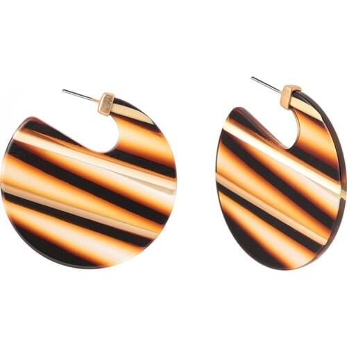 Wild&Free Punk Trendy New Leopard Acrylic Earrings For Women Pary Jewelry Statement Semicircle Round Geometric Drop Earrings