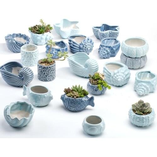 European Style Cute Fleshy Flowerpot Pocelain Blue Fish Flower Vase Home Garden Mini Bonsai Cactus Flower Pot for Home Decor