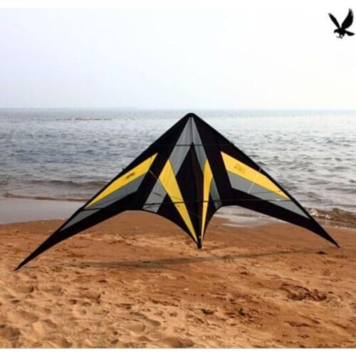 Free shipping rolling ballet stunt kites for adults power kite flying higher outdoor toy kite surf cometa vlieger eagle bird new