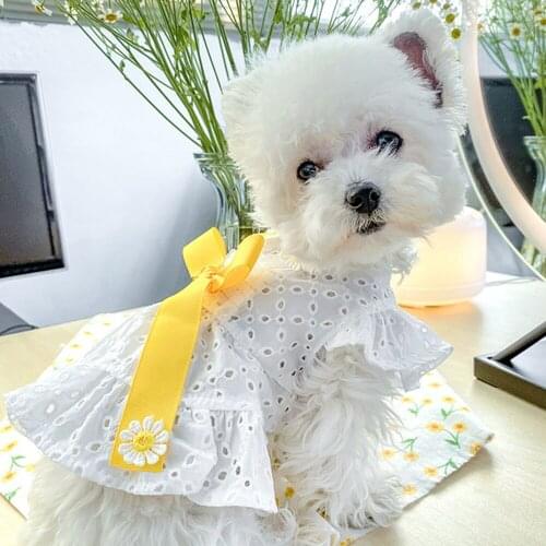 Comfortable Colorful Lovely Pet Dog Dress Different Size Cute Dog Cat Skirt with Mini Hollow Bow