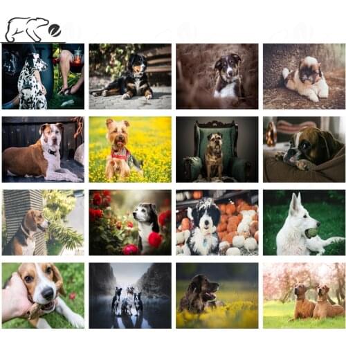 Zebra Dog Pug Picture Diamond Painting Cross Stitch Home Decor Modern Cute Animal Art Painting Diamond Embroidery Decor