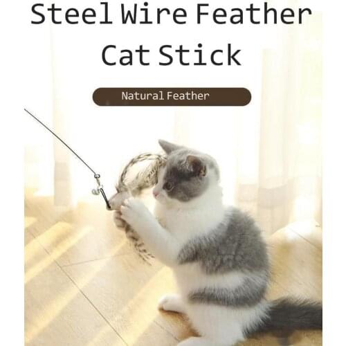Steel wire feather and Ribbon interactive cat toys Teaser long rod replaceable head cat toy cat suppiles Teeth-resistance