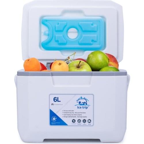Mini 6L Food Drinkes Dual-Use Cooler Warmer Box Mini Container Storage Cooler Warmer Box Insulation Cooling Dual-use Box