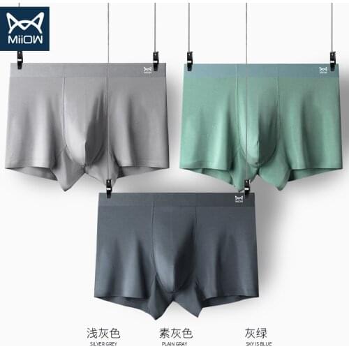 Antibacterial underwear modal seamless mens boxer briefs