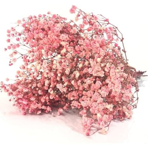 Secas Gypsophila DIY Floral Bridal Bouquets Party Backdrops Jardineria Decoracion Nursery Decor Baby Breath Dried Flowers