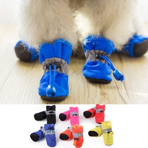 Shoes For Dogs BIBSS China