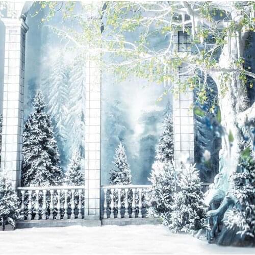 Vinyl Photography Background Computed Printed Vintage Castle Wedding Children Snow Backgrounds for Photo Studio CM-7188