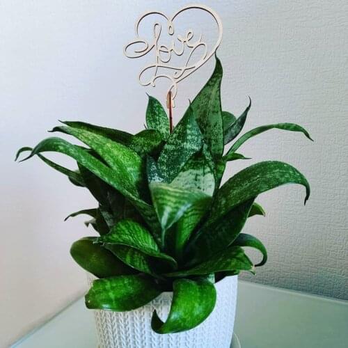 BOGATAstudio Products For The Holiday