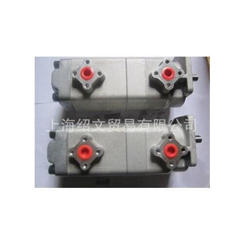 Taiwan Xinhong HGP-22A series double gear pump HGP-22A-F-88-RX-4BJ-10