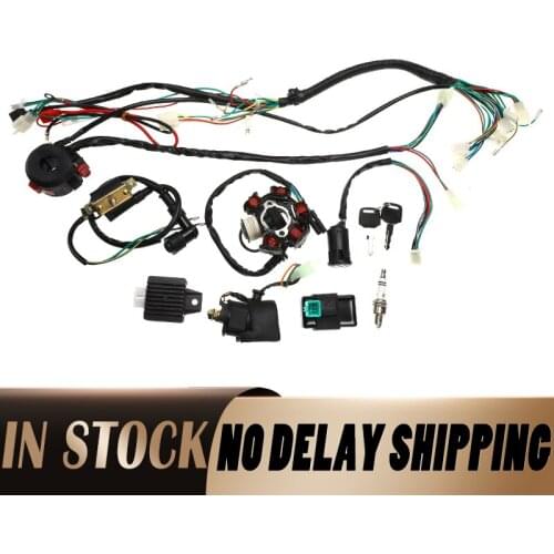 Motorcycle Electrics Wiring Harness CDI STATOR 6 Coil Pole Ignition Switch For ATV Quad Pit Bike Buggy Go Kart 90cc 110cc 125cc