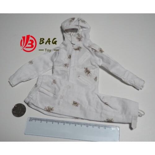 1/6 of the Action Figures Model DAMTOYS snow camouflage camouflage clothing