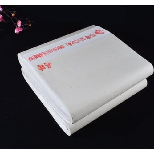 Chinese Calligraphy Practice Writing Drawing Xuan Rice Paper Without Grids Sheng (Raw)Half Raw Ripe Xuan