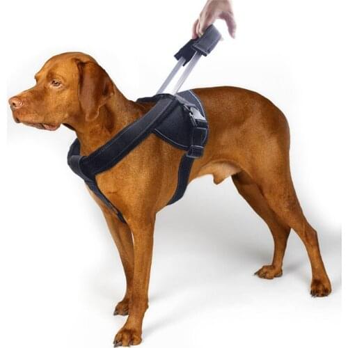Training Vest Strong Short Handle Extend Dog Leading Reflective Comfortable Guide Dogs Pet Leads Leash Rope Easy Control