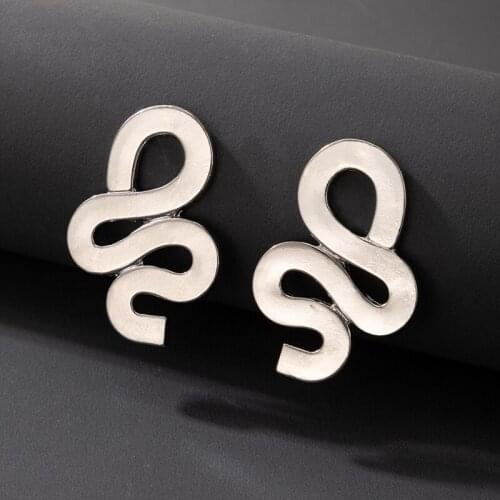 Tocona Punk Snake Stud Earrings INS Fashion Silver Color Alloy Metal Geometry Party Jewelry for Women Accessories сережки 20329