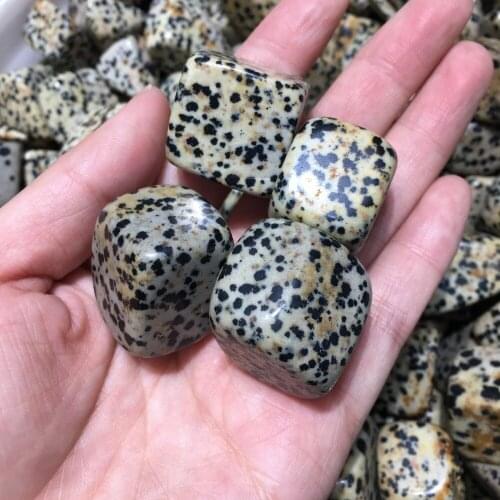 100gNatural Chakra gemstone Dalmatian Jasper Tumbled Healing Stones