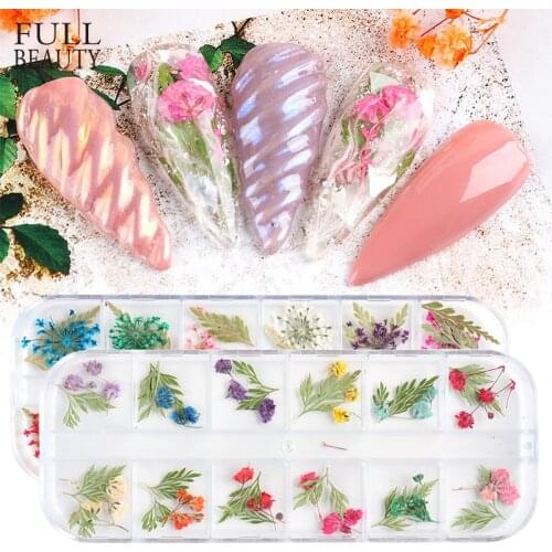 12Grids Natural Dried Flowers Set Nail Art Decoration Leaf Pressed Flowers Sticker DIY Designs for Manicure Accessories CHF25-41