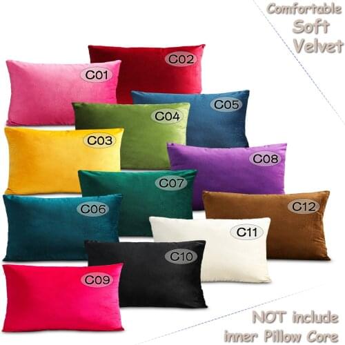 Velvet Blending Cushion Cover Throw Pillows Case for Living Room Bedroom [50x30cm(20x12"), 1PC]