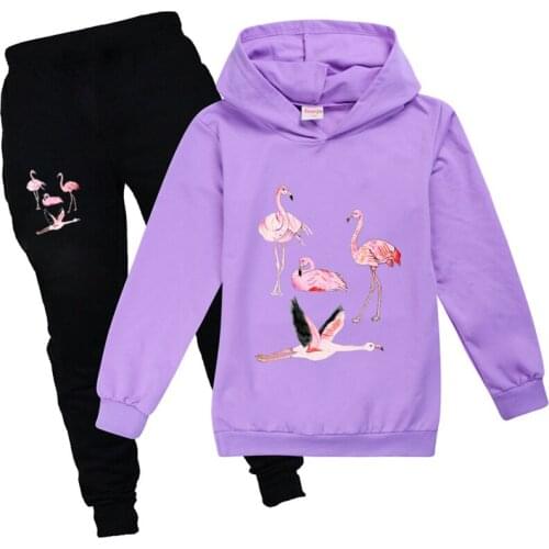 Kawaii Cute Flamingo Boys Winter Clothes Children Clothing Set Boutique Christmas Thanksgiving Halloween Outfits for Girls