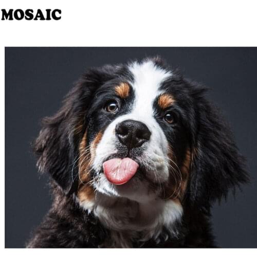 Mosaic 5d full laid Diamond painting embroidery dog,Bernese Mountain pet Animal beads cross stitch handwork animal kits New arts