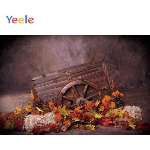 Autumn Fallen Leaves Farm Pumpkin Hay Block Barn Cart Baby Portrait Backdrop Vinyl Photography Background For Photo Studio Shoot