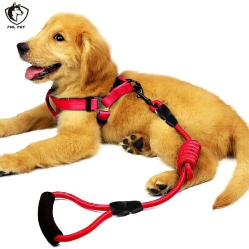 FML PET Animal Decorations