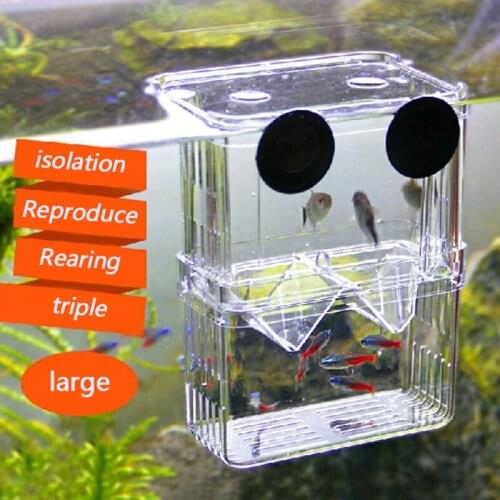 Guppy Incubator Double-Layer Self-Floating Incubator Acryl Isolation Box For Young Breeding Fish Bettling Box Accessories