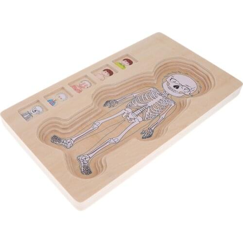Montessori Toys for Kids - Wooden Puzzle Boy Body Structure Jigsaw Puzzle