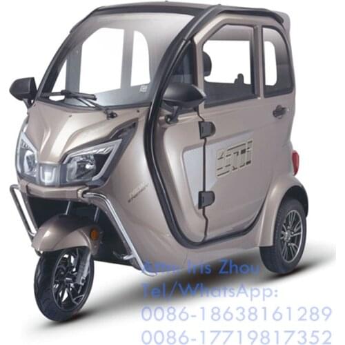 1000W Adult Electric Tricycle 2 Seats Mini Car 3 Wheels Enclosed Vehicle Mobility Scooter for Elderly People