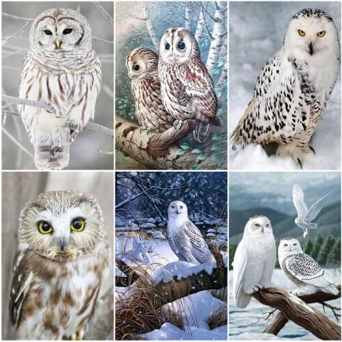 GATYZTORY Frame Diy Painting By Numbers White Owl Animals Kit Acrylic Paint By Numbers Wall Art Picture Coloring By Numbers Artw