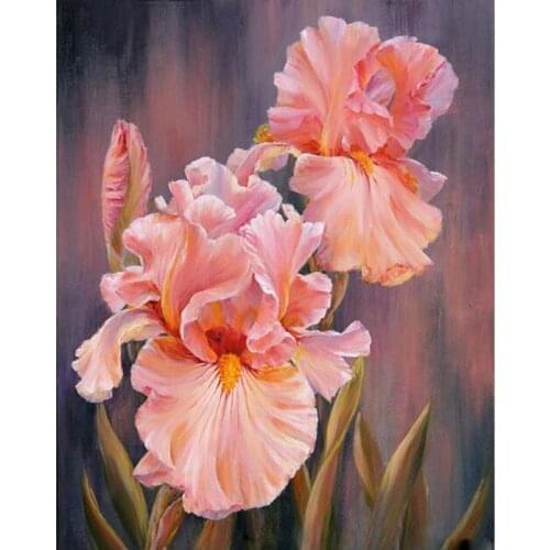 Oil Painting By Number Flowers For Drawing On Canvas Frame DIY Craft Kit Coloring By Number For Adults Picture Home Decoration