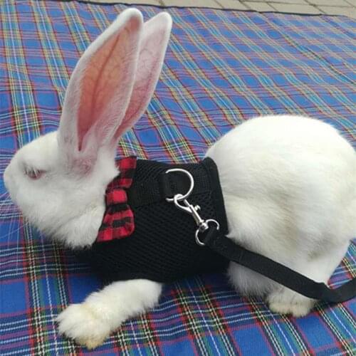Small Animal Rabbits Hamster Vest Harness Walking Soft Chest Strap Breathable Bow-knot Mesh Fully Elastic Belt Pet Accessories