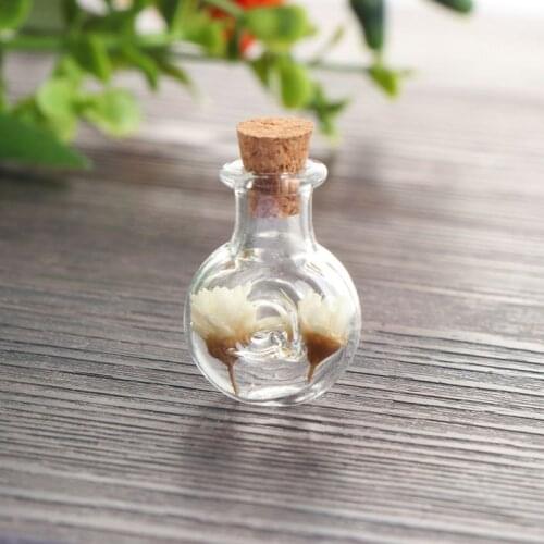 Mini Empty Glass Wishing Message Bottle with Cork Stoppers Clear Drifting Jars for Wedding Party DIY Necklace Craft