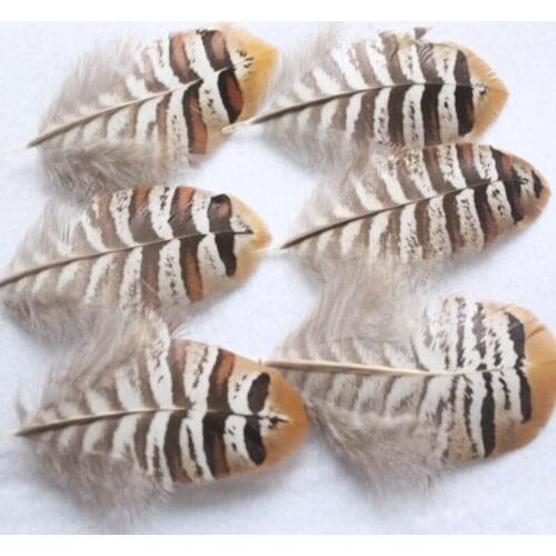 Wholesale Rare 10 pcs Natural Pheasant Feathers 5-10 cm DIY Jewelry Clothing Hat Christmas Holiday Decorative