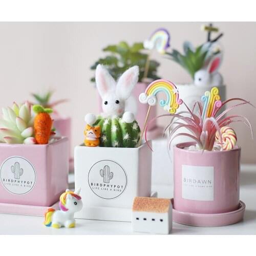 Pink White ceramic pots for plants succulent pot macetas de ceramica balcony decorations Round Square bonsai pot flowerpot home