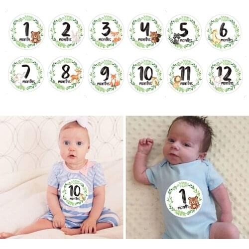 12 Pcs/Set Newborn Milestone Memorial Month Stickers Floral Baby Monthly Stickers Photography Commemorative Card Number Photo Pr
