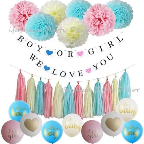 Gender Reveal Party Supplies Kit - Boy or Girl Baby Shower Decorations Banner Paper Tassel Garland Pom Poms Latex Balloons