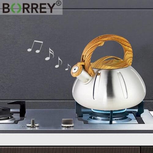 BORREY Metal Teapot Whistling Kettle Stainless Steel Gas Stove Induction Cooker Kettle Outdoor Camping Cooking Water Tea Kettle