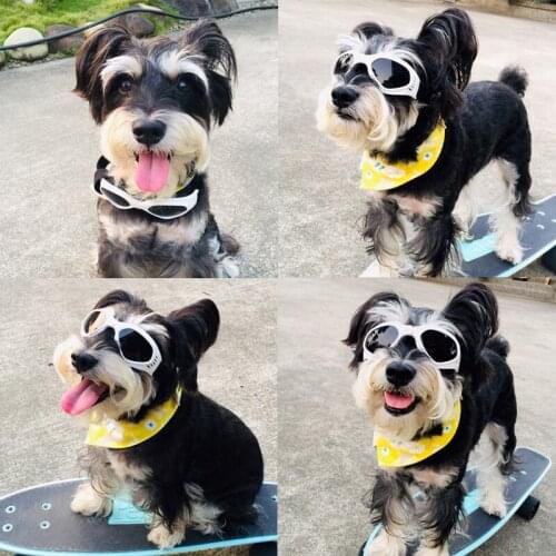 Pet Cat Glasses Dog Glasses Pet Products Toy Dog UV Sunglasses Pet Accessoires Ski Goggles Pet Accessories