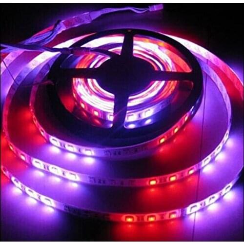 5mX high quality 5050SMD DC12V RGB horse LED strip light 270LEDs/Roll 5m/Roll + LED remote controller free shipping